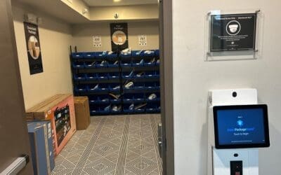 How the Smart Package Room Package Delivery System Helps Reduce Theft on Prime Day